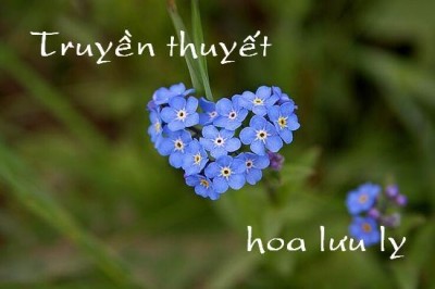 luu ly1.jpg