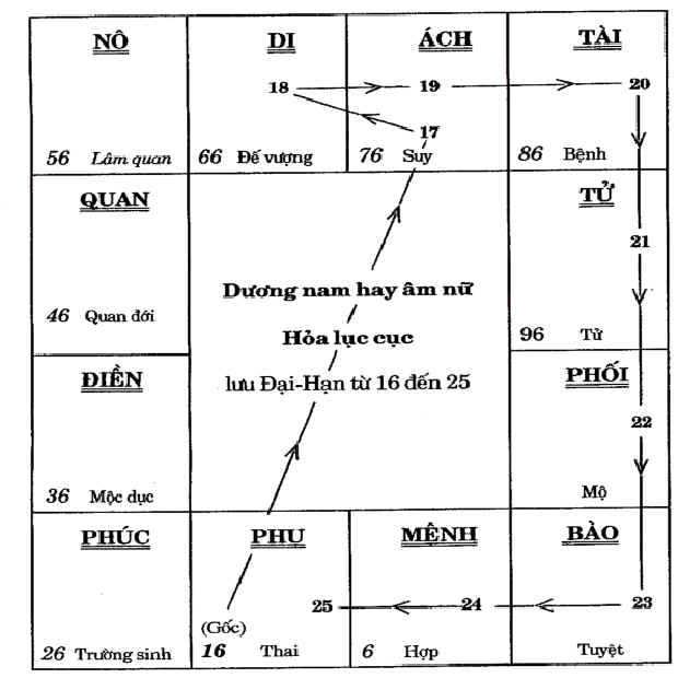 Hinh chi dan tinh luu niên.jpg