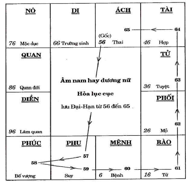 Hinh chi dan tinh luu niên 2.jpg