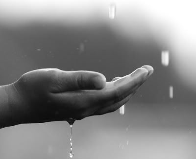 rain_theme_by_sielojramu.jpg
