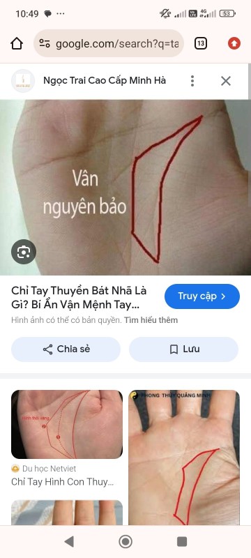 Screenshot_2024-12-04-10-49-06-079_com.android.chrome.jpg