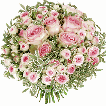 gfloraxxl.gif