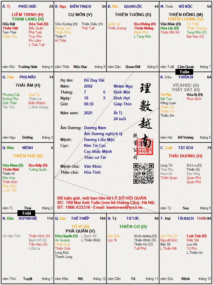 Đỗ Duy Hải.jpg