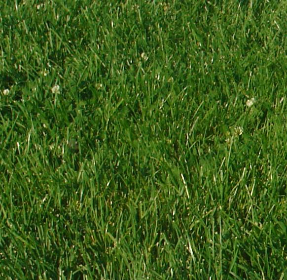 texture.jpg