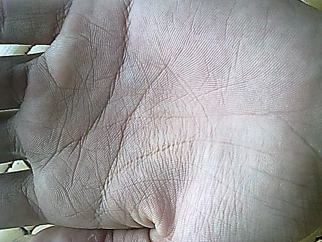21062011077.jpg