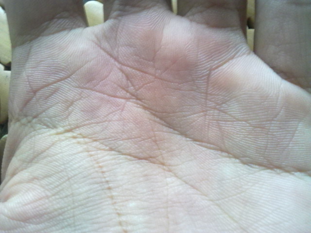 21062011064.jpg