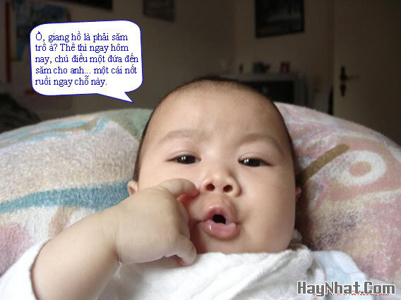 thumbnail_Pic338.jpg