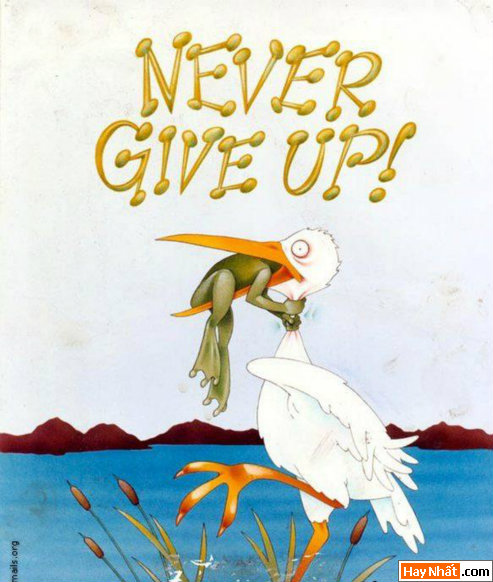 never Give up.jpg