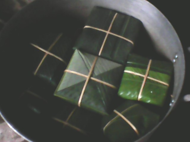 IMG0011A.jpg
