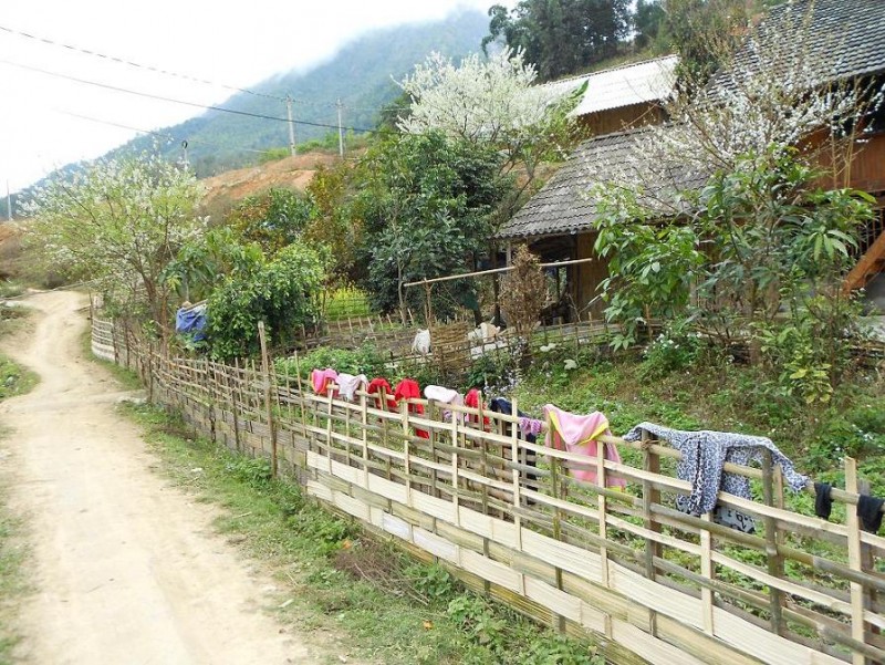 DSCN0393.JPG
