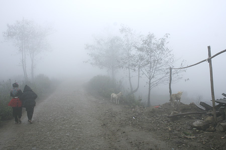 1_7303c.jpg