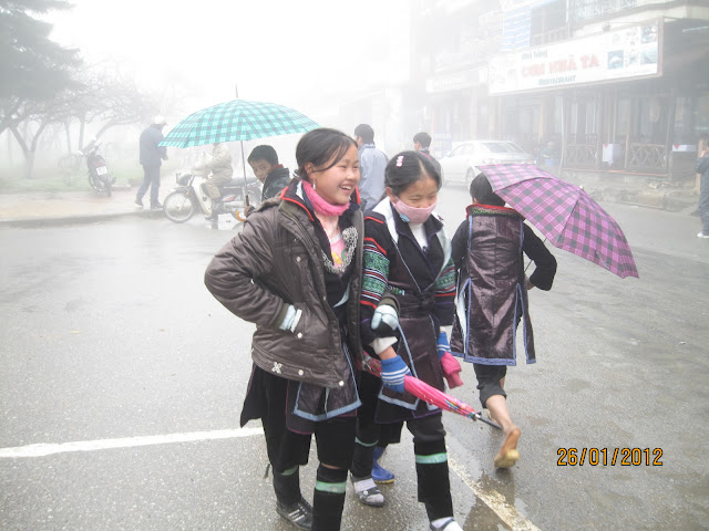 Fan (479).JPG