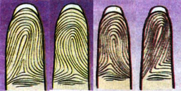 vantayhinhvong (thòng lọng).jpg