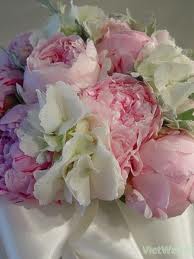 images (10).jpg