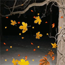 Tong_Hop_220110_11.gif