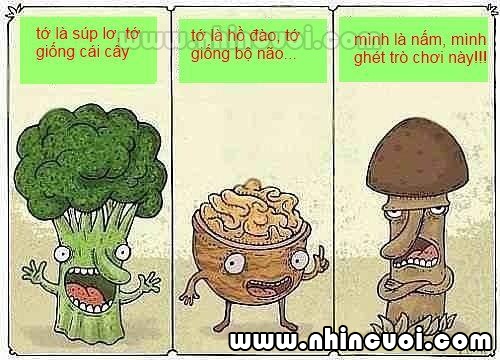su-am-uc-cua-cay-nam-18.jpg