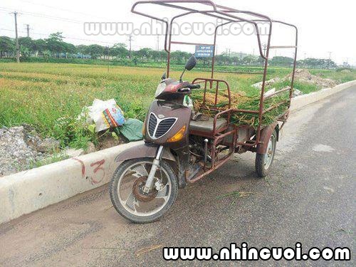 hinh-vui-cuc-chat-15-07-2012 (2).jpg