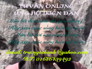 Hình vui