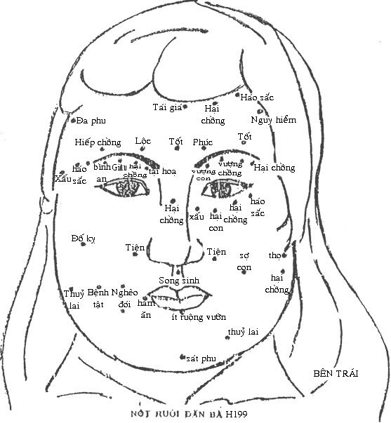 ntruinb-1.jpg