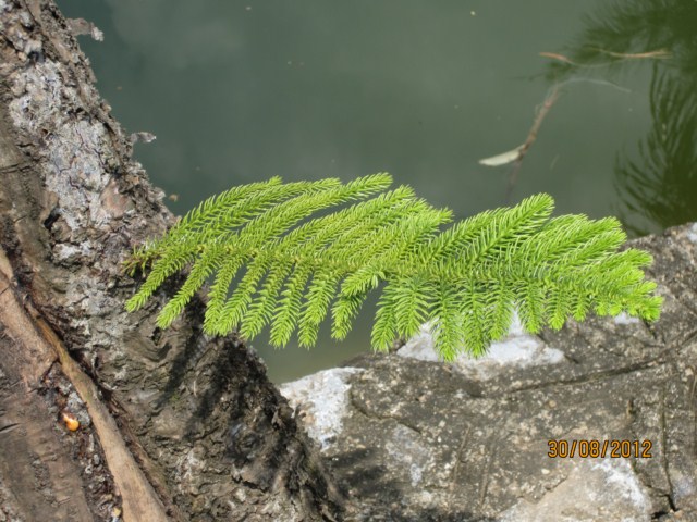 IMG_0087 [640x480].JPG
