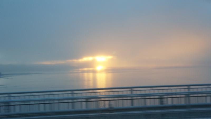 DSC01348.jpg