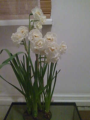 Image0686.jpg