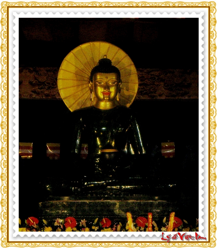 Hình ảnh