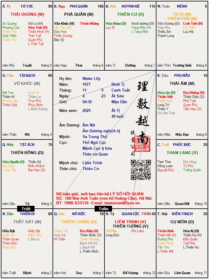 Hình ảnh