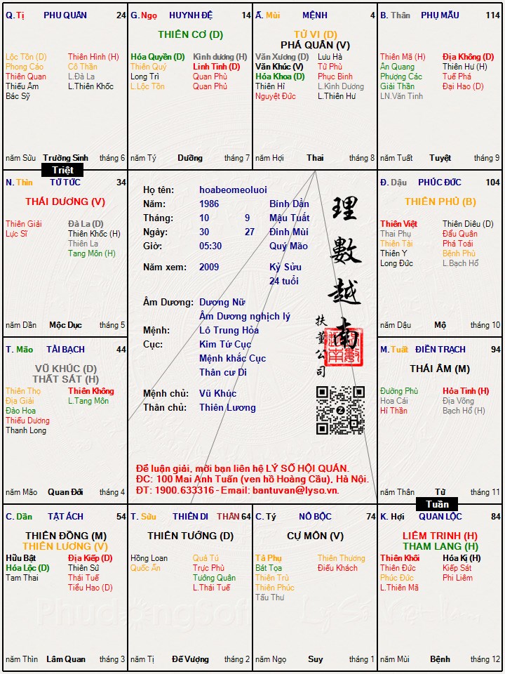 Hình ảnh