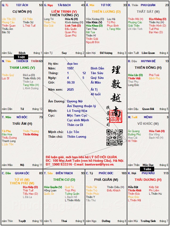 Hình ảnh