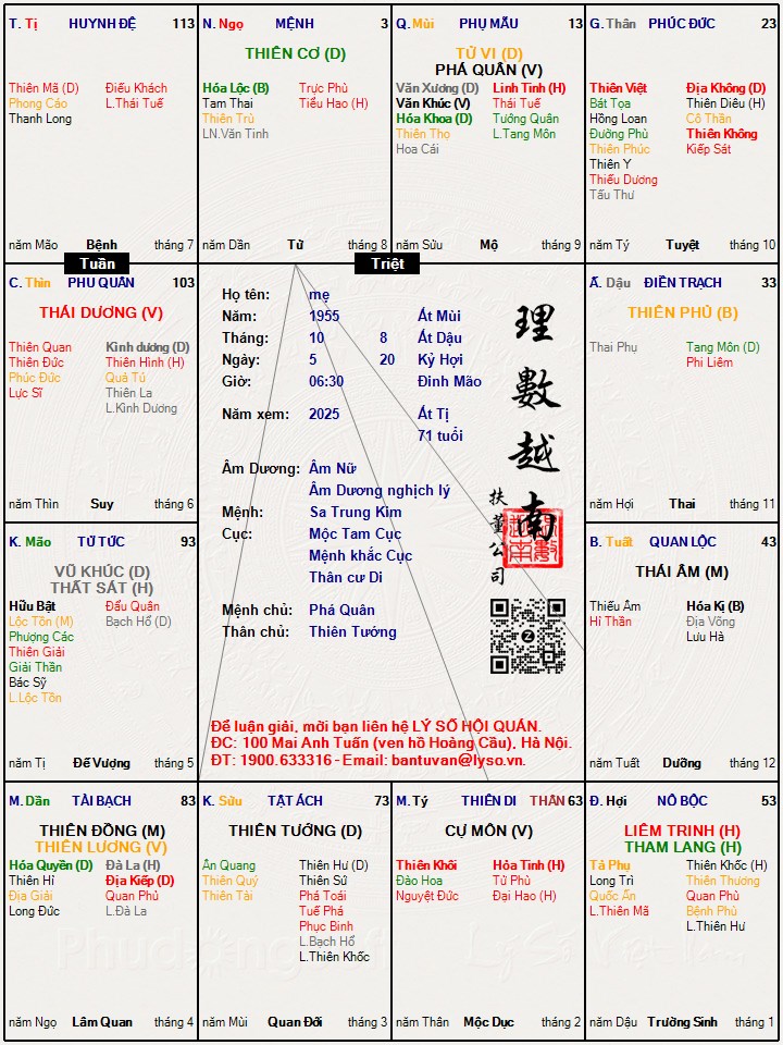Hình ảnh