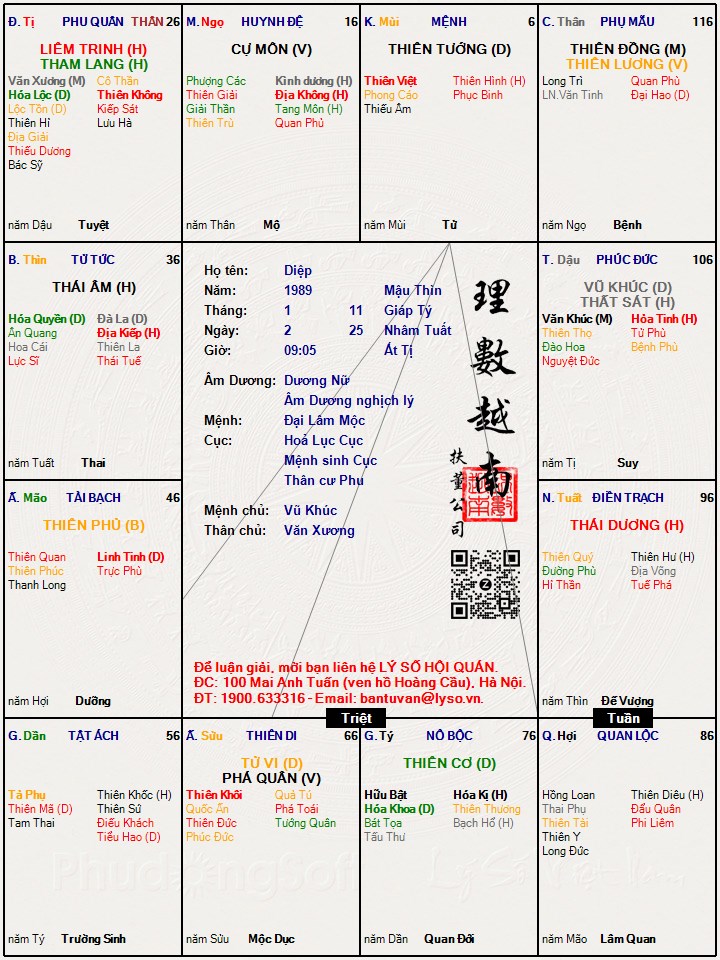Hình ảnh