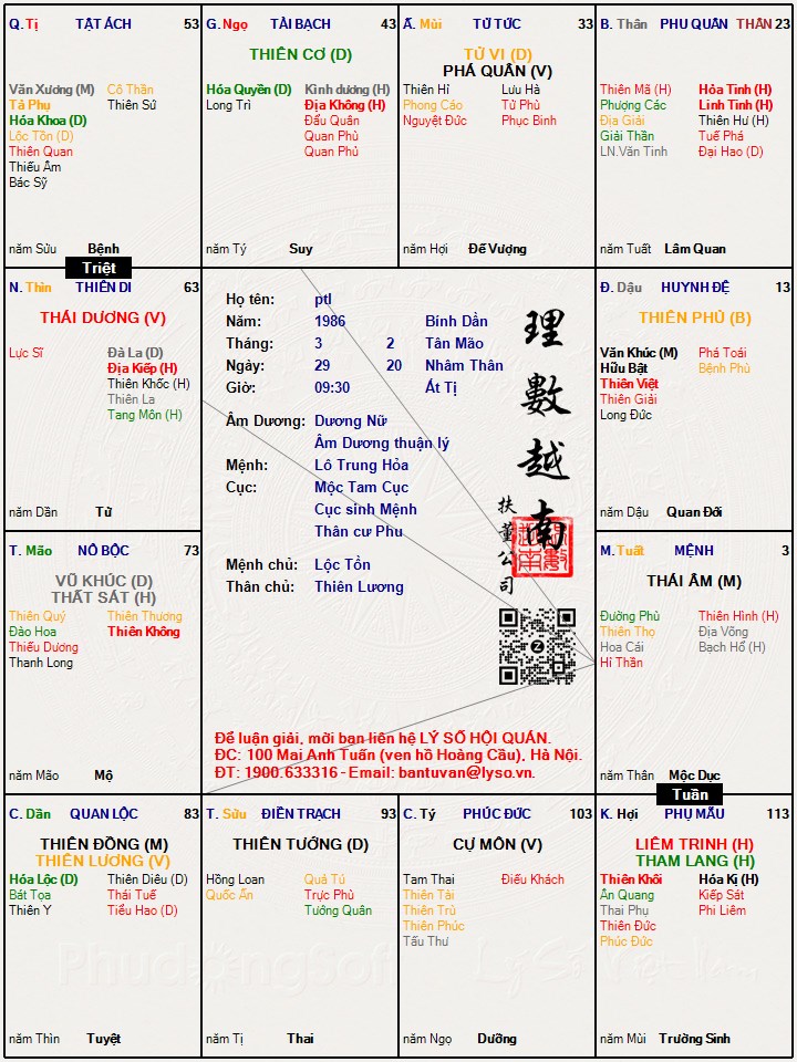 Hình ảnh