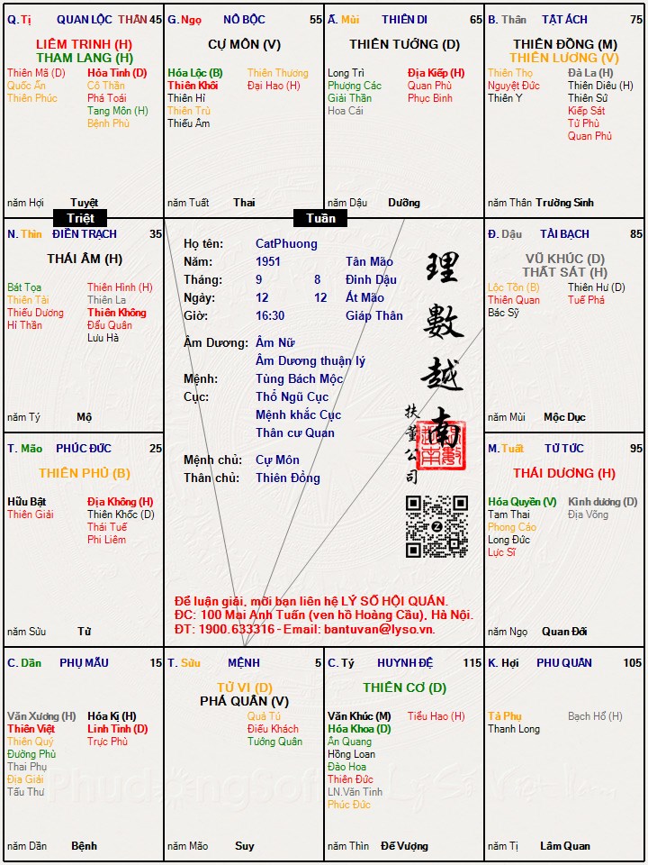 Hình ảnh