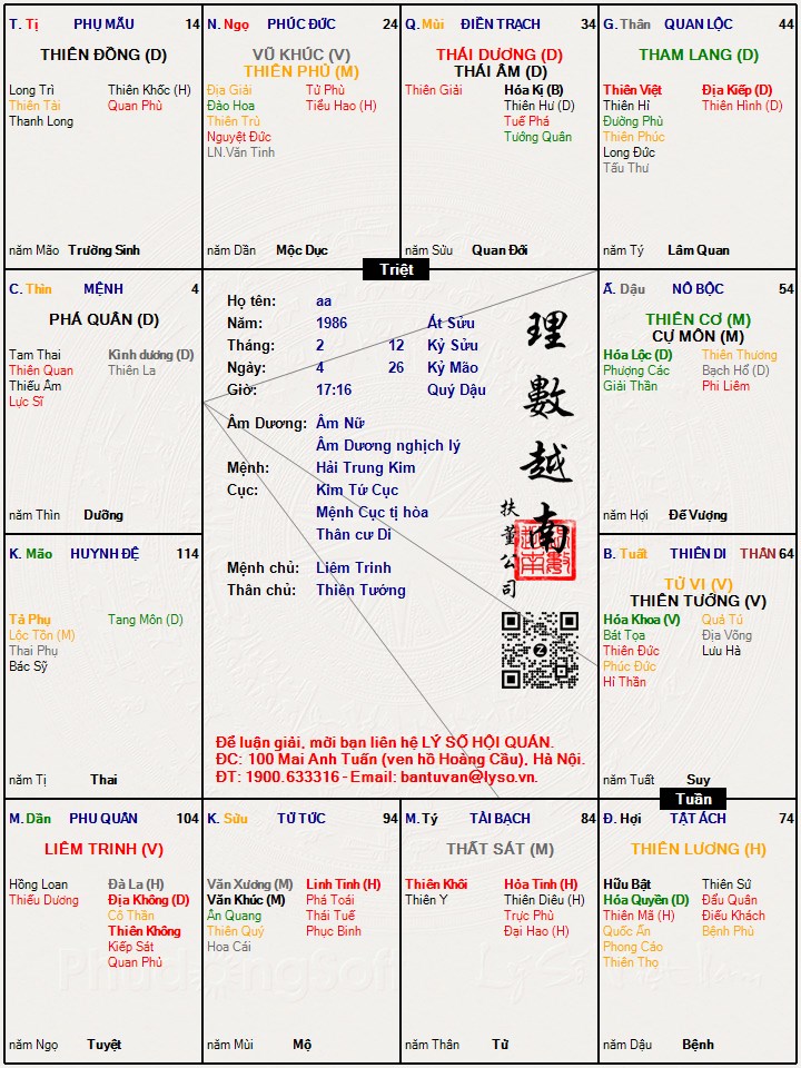 Hình ảnh