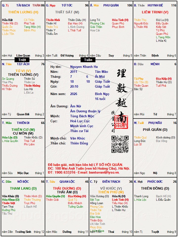 Hình ảnh