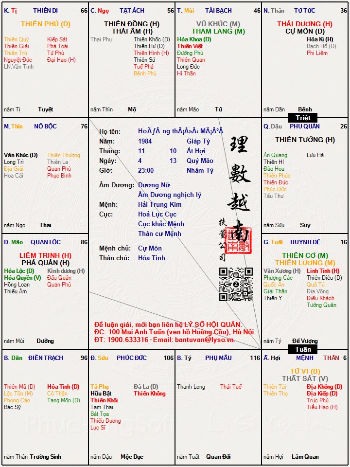Hình ảnh