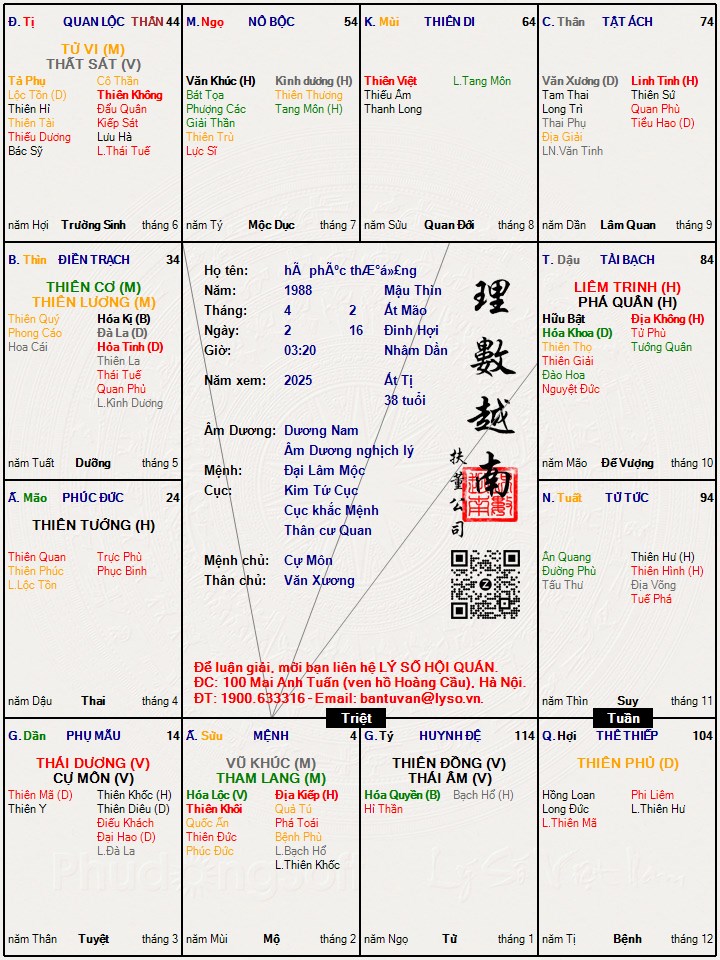Hình ảnh