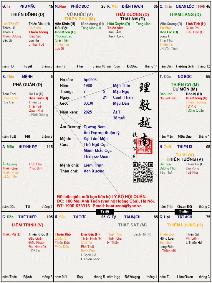Hình ảnh