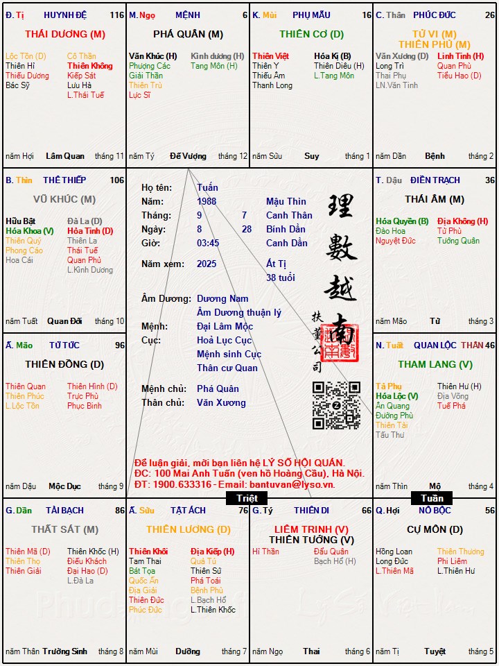 Hình ảnh