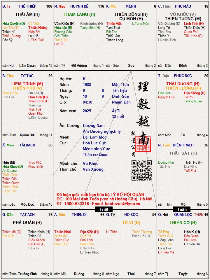 Hình ảnh