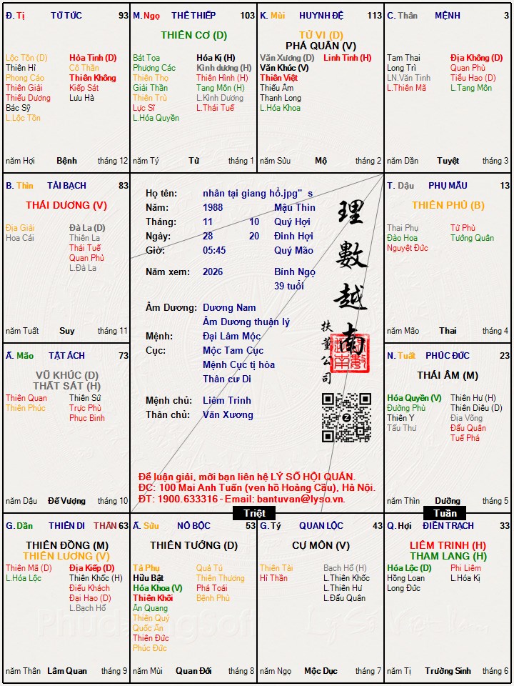 Hình ảnh