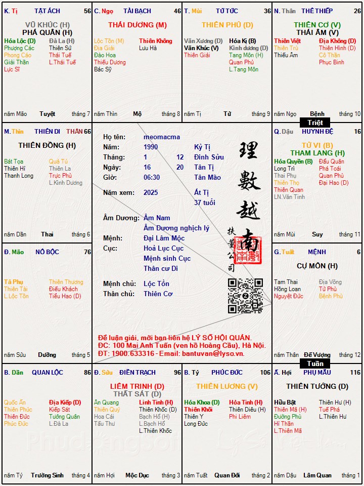Hình ảnh
