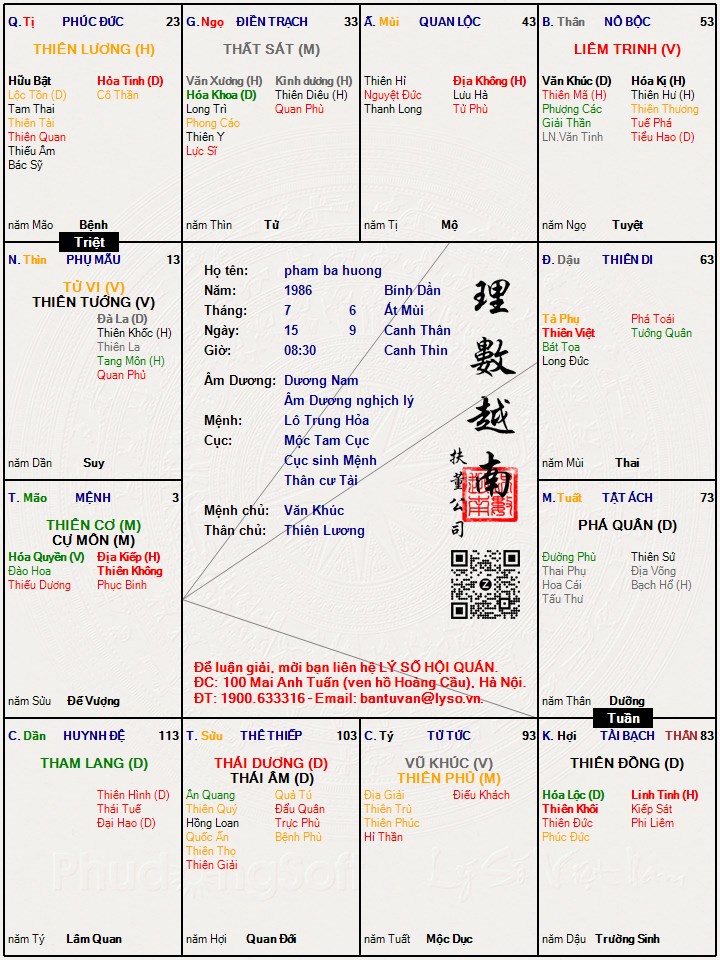 Hình ảnh
