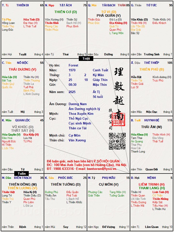 Hình ảnh