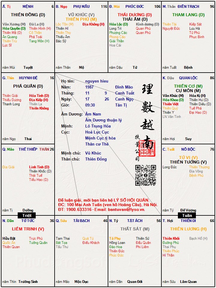 Hình ảnh