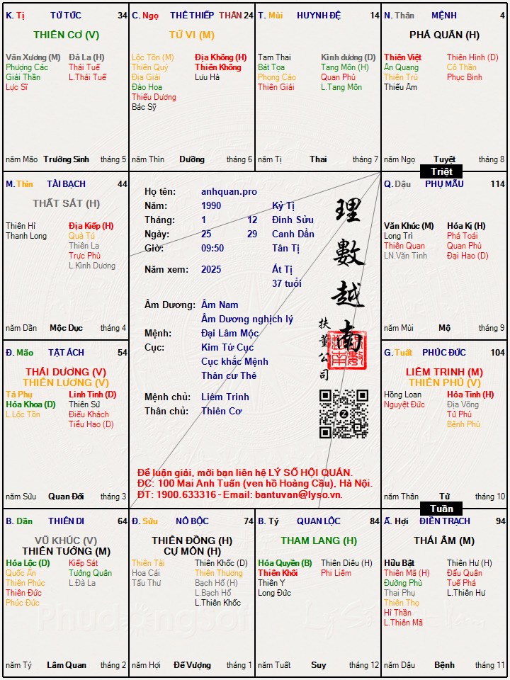 Hình ảnh