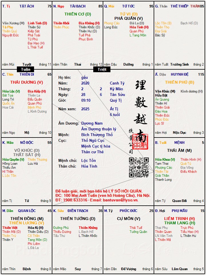 Hình ảnh