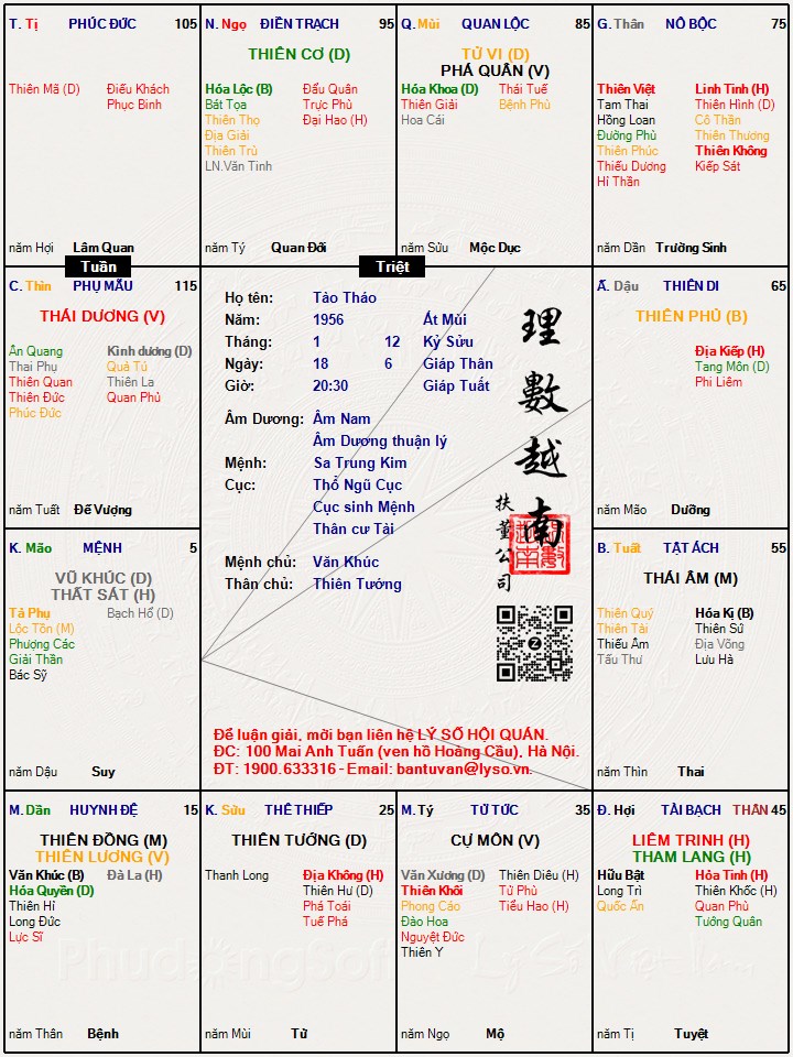 Hình ảnh