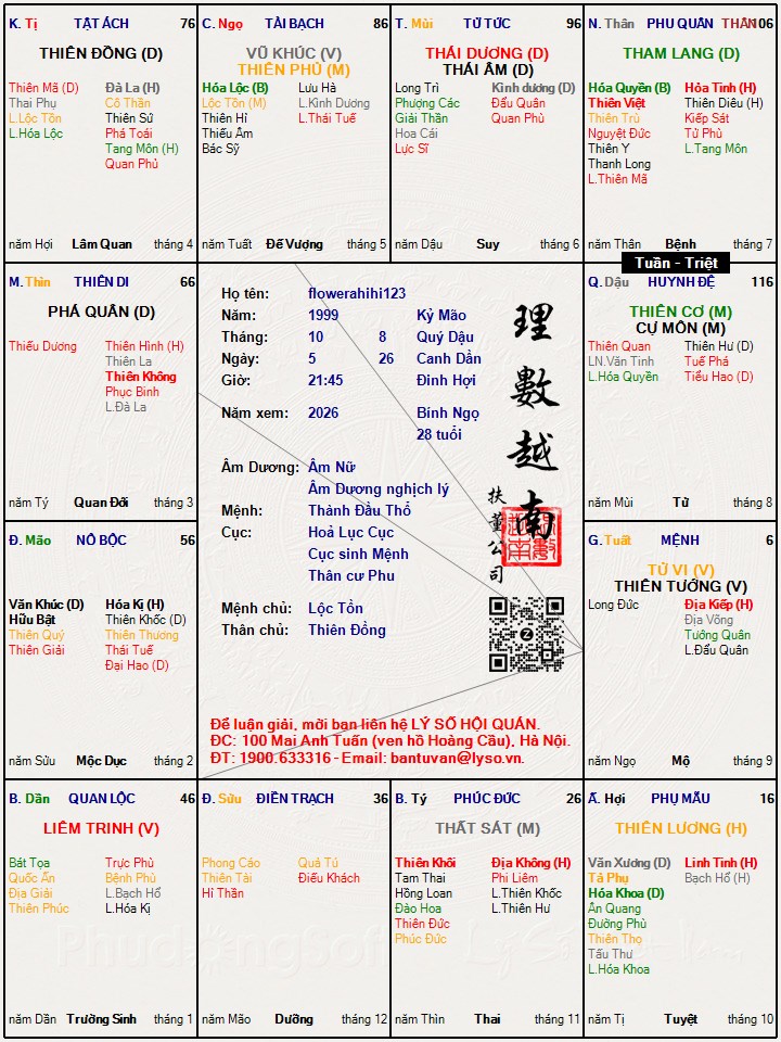 Hình ảnh